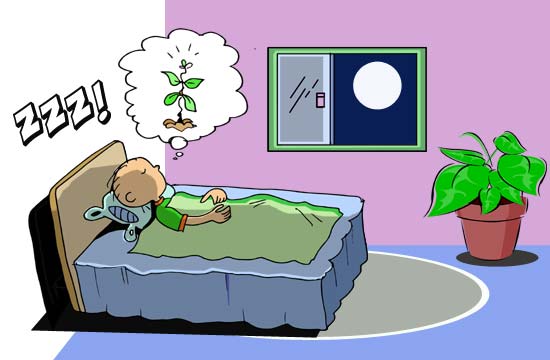 Contos Infantis Ilustrados - A Árvore Mágica Contos Infantis Ilustrados - A Árvore Mágica