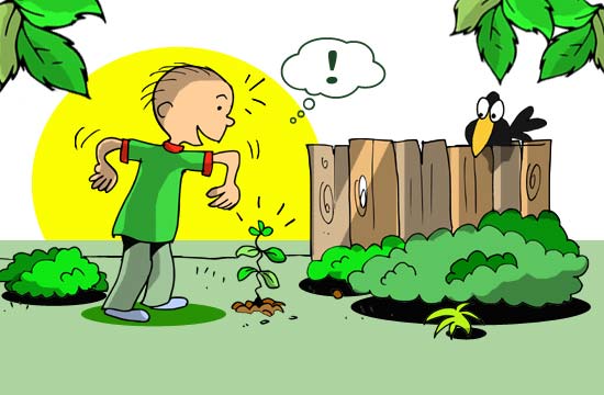 Contos Infantis Ilustrados - A Árvore Mágica Contos Infantis Ilustrados - A Árvore Mágica