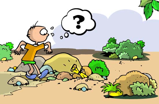 Contos Infantis Ilustrados - O Mistério do Velho Casarão