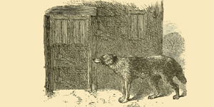 O Lobo, o Cabrito, e a Cabra