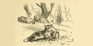 O Leão, o Urso e a Raposa