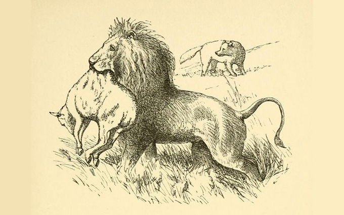 Fábulas de Esopo Originais Ilustradas - O Leão e o Lobo